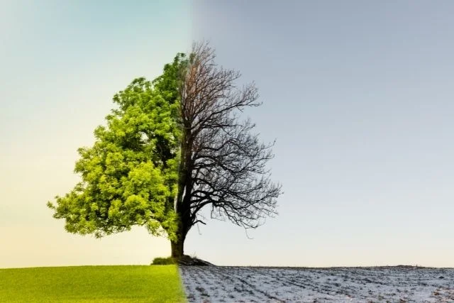 Libri sul cambiamento climatico